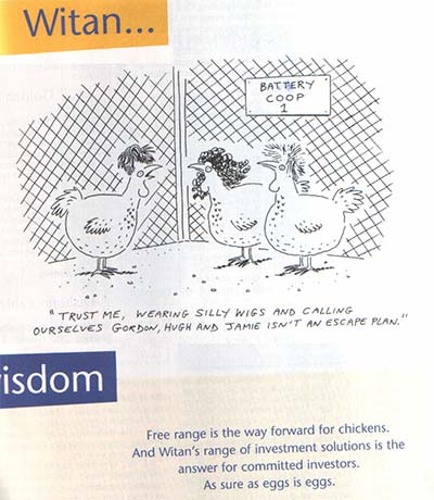 witan-investment-trust-chicken-advert.jpg