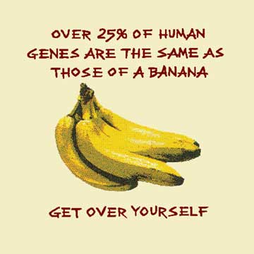 Over 25% of human genes are the same as those of a banana - get over yourself
