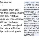 Albert Gauci Cunningham FB