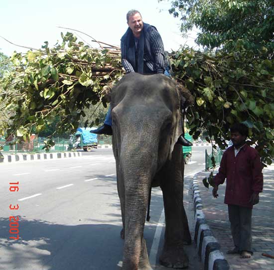 anglu-farrugia-elephant