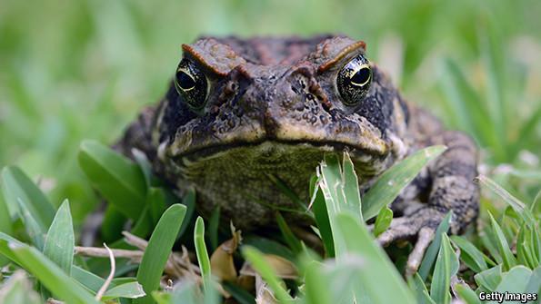 Codruta failed to kiss him this morning.