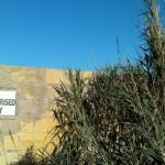 yana mintoff 1