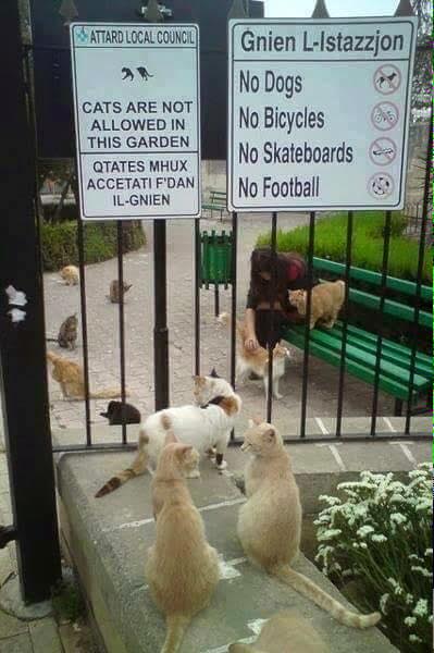 The old sign, which drew a lot of laughs