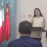 sai mizzi