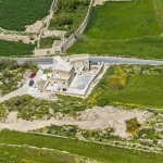 dalli 14