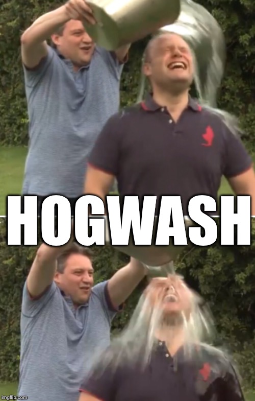 hogwash