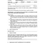 KONRAD MIZZI TRUST DOCUMENT 1