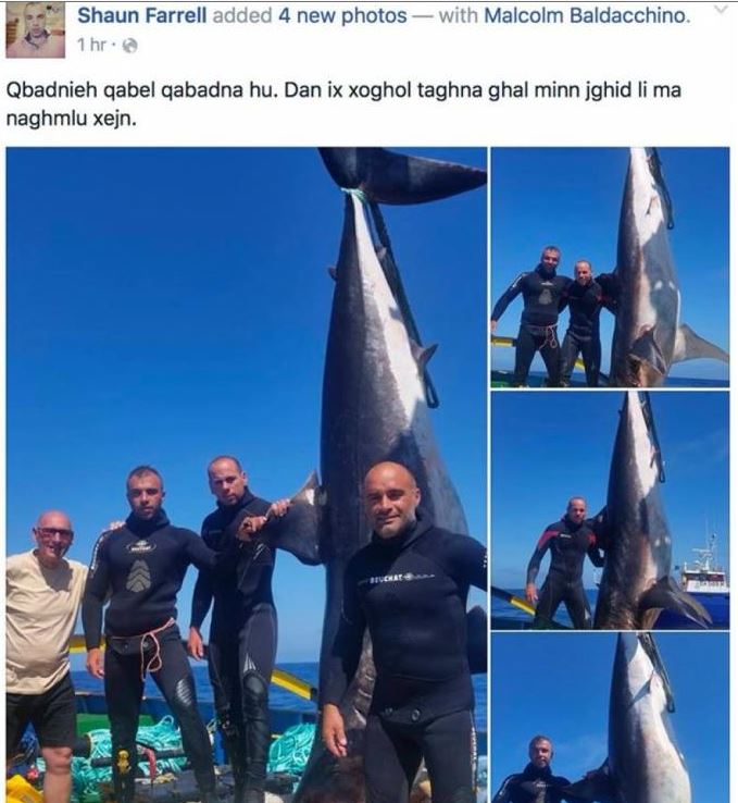 Farrell Junior, second from left, with the great white shark he caught today