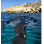 franco 25