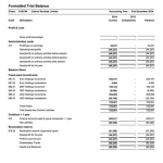 FORMATTED TRIAL BALANCE