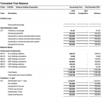 TRIAL BALANCE